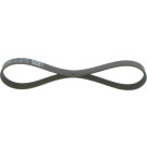 Keilrippenriemen FORD,VOLVO Elastic 1987946134