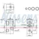 Expansionsventil Renault Kangoo 1.3 TCE 100 22 FIRST FIT 999457