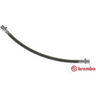 BREMBO Bremsschlauch | T 83 090