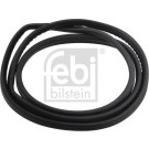 FEBI BILSTEIN Dichtung, Heckscheibe | 08883