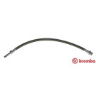 BREMBO Bremsschlauch | T 50 032