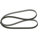 1 987 946 289 Keilrippenriemen