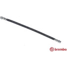 BREMBO Bremsschlauch | T 79 037
