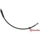 BREMBO Bremsschlauch | T 85 122