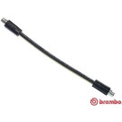 BREMBO Bremsschlauch | T 85 064