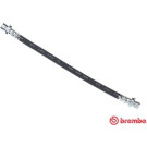 BREMBO Bremsschlauch | T 28 012