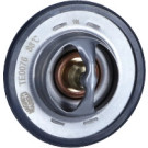 Thermostat, Kühlmittel | 352317100760