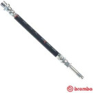 BREMBO Bremsschlauch | T 24 144