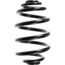 SPIDAN Fahrwerksfeder 49266