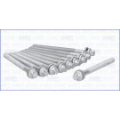 Zylinderkopfschraubensatz | 81039600