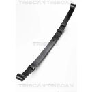Federnpaket 876580006