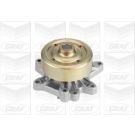 PA 919 Wasserpumpe PA919