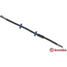 BREMBO Bremsschlauch T 23 140 ESSENTIAL LINE