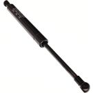 Gasfeder, Koffer-/Laderaum 12-0034