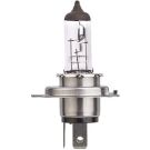 HELLA Glühlampe 8GJ 007 255-123