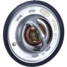 Thermostat, Kühlmittel 352317100350