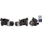 AGR-Ventil,m. Dichtungen NISSAN X-Trail 01 717720136