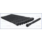 Zylinderkopfschraubensatz 81033600