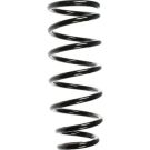 SPIDAN Homokinetisches Gelenk 22164