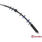 BREMBO Bremsschlauch T 23 143 ESSENTIAL LINE
