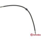 BREMBO Bremsschlauch T 06 039 ESSENTIAL LINE