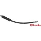 BREMBO Bremsschlauch T 06 018 ESSENTIAL LINE