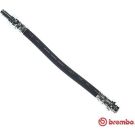 BREMBO Bremsschlauch T 86 033 ESSENTIAL LINE