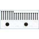 Zylinderkopfschraubensatz 81035100
