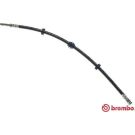 BREMBO Bremsschlauch T 85 031 ESSENTIAL LINE