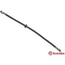 BREMBO Bremsschlauch T 85 074
