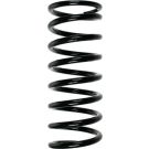 SPIDAN Fahrwerksfeder 48175