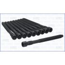 ZYLINDERKOPFSCHRAUBENSATZ AJU81054500