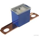 Blocksicherung 49mm 100A 1Stk 50295459