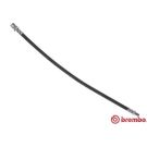 BREMBO Bremsschlauch T 50 020 ESSENTIAL LINE