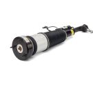 Arnott Luftfederbein VA li MERCEDES CL 4Matic,S 4Matic 06 Original Arnott Produkt AS-2853