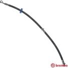 BREMBO Bremsschlauch T 79 008 ESSENTIAL LINE
