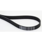 CONTINENTAL CTAM Keilrippenriemen 6PK1120