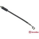 BREMBO Bremsschlauch T 59 016 ESSENTIAL LINE