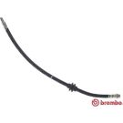 BREMBO Bremsschlauch T 68 091 ESSENTIAL LINE