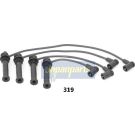 Zündleitungssatz IC-319