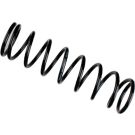Bilstein Fahrwerksfeder Ford T. Focus/ B3/ Ha BILSTEIN - B3 Serienersatz (Federn) 36-248483