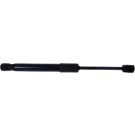 Gasfeder, Vorne L 293,5 500N 289939