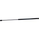 Gasfeder, Hinten L 589 440N 966767