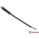 BREMBO Bremsschlauch T 24 048 ESSENTIAL LINE