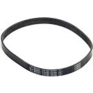 CONTINENTAL CTAM Keilrippenriemen 6PK907 EXTRA