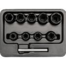 Spezialausdreheinsatz-Set 10-Tlg. 3/8 YT-0603