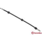 BREMBO Bremsschlauch T 06 006 ESSENTIAL LINE