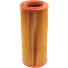 FILTRON Luftfilter AR 234/2