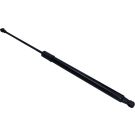 Gasfeder, Hinten L 549,5 510N Renault Grand Scenic 16 LIFT-O-MAT® 699825