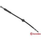 BREMBO Bremsschlauch T 24 118 ESSENTIAL LINE